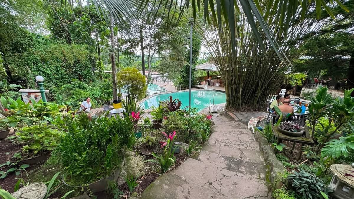 Jungle thermal pools